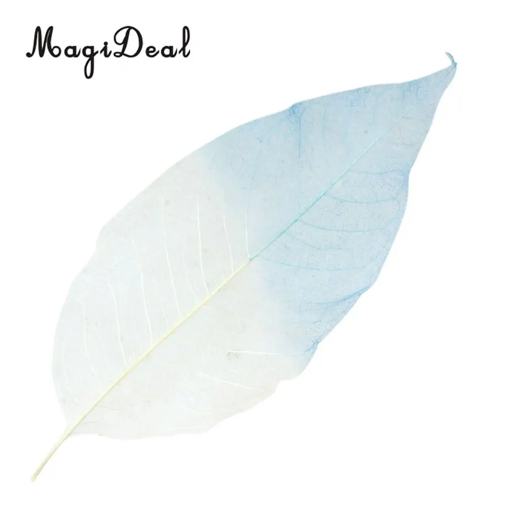 100pcs Natural Magnolia Skeleton Leaf Leaves Embellishment for DIY Crafts Purple Blue