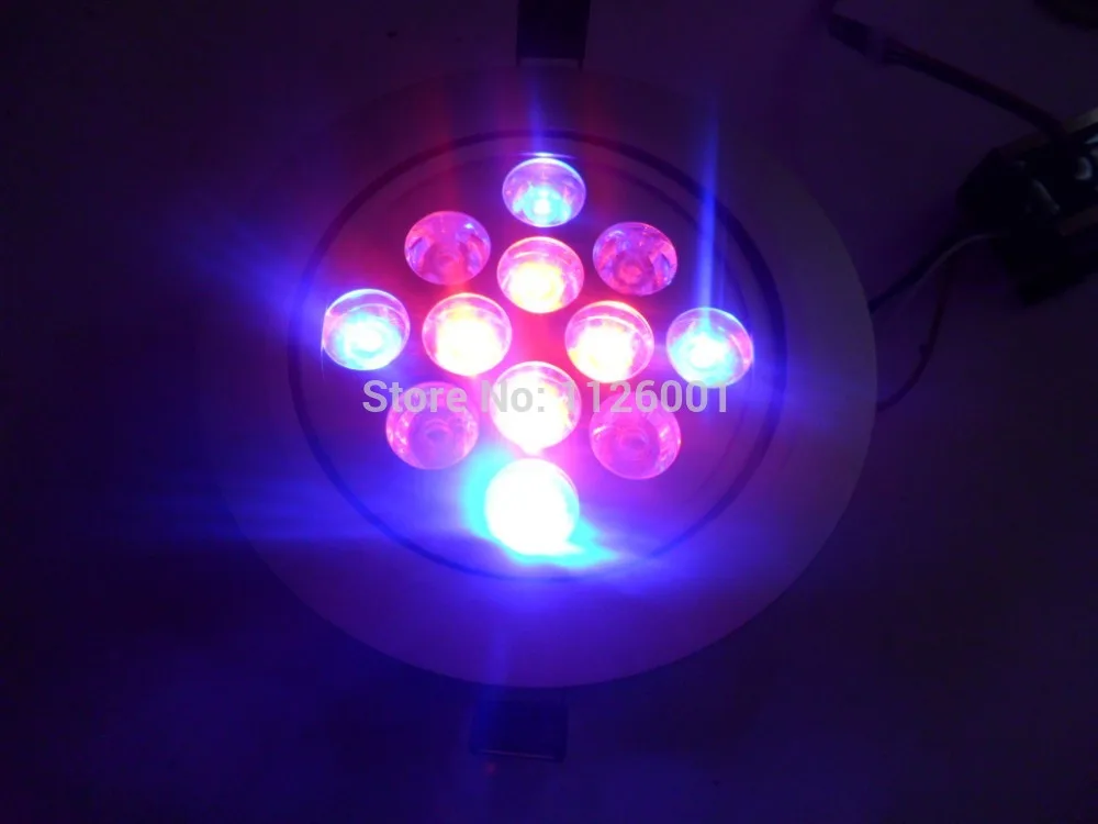 

2017 Led Spot Free Shipping 4pcs/lot Ac100-265v 12*3w Bridgelux Downlight With Color Ip20, Oem Orders Are Welcome, Ce, Rohs