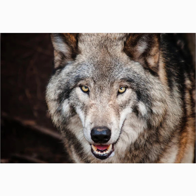 

5D DIY Full Square Diamond Painting Cross Stitch "Rogue Wolf" 3D Diamond Embroidery Rhinestone Mosaic Home Decor Gift