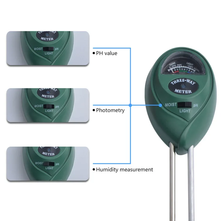 3513729056_486564212