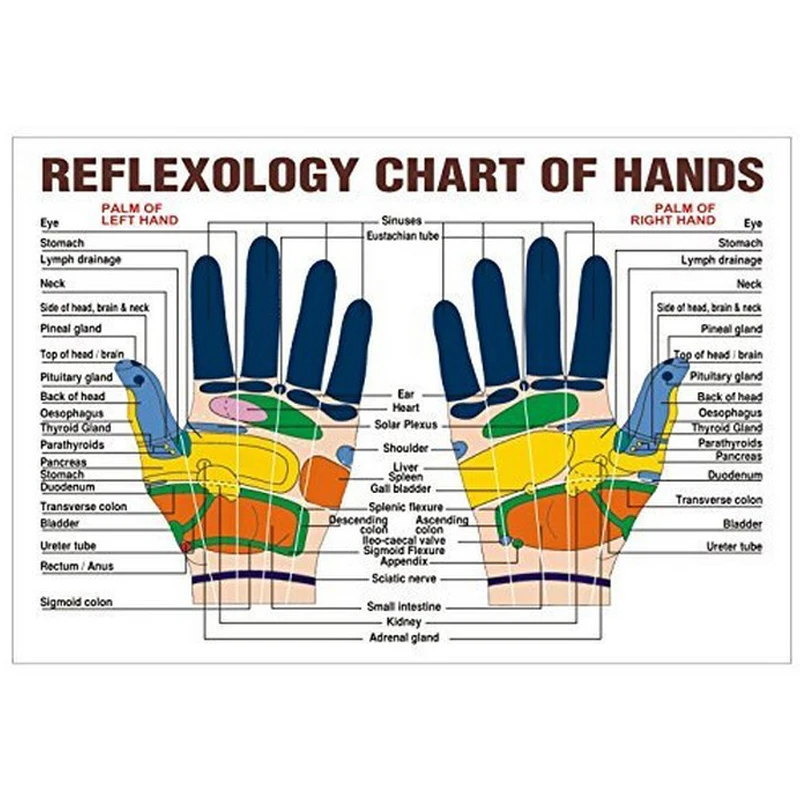 10pcs Hot Sale Massage Ring Finger Blood Circulation Finger Relaxation Massage Acupuncture Ring Health Care Finger Weight Loss