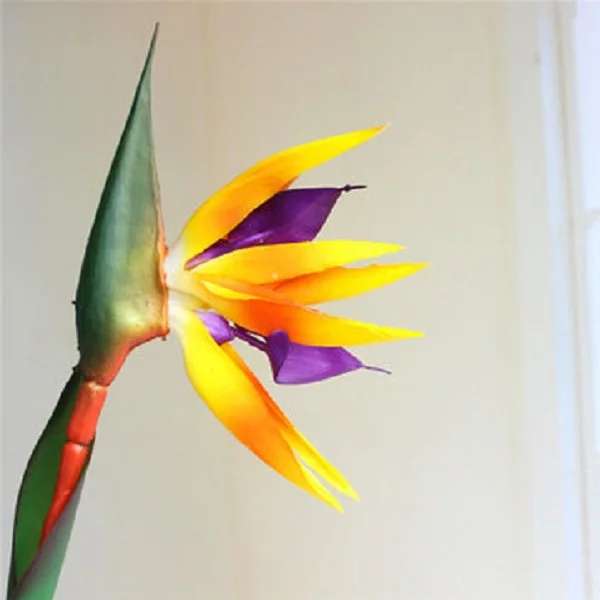 1 шт. 31 дюймов моделирование paradiesvogel Искусственные цветы райская птица цветок домашний стол окно украшение искусственный букет - Цвет: Цвет: желтый