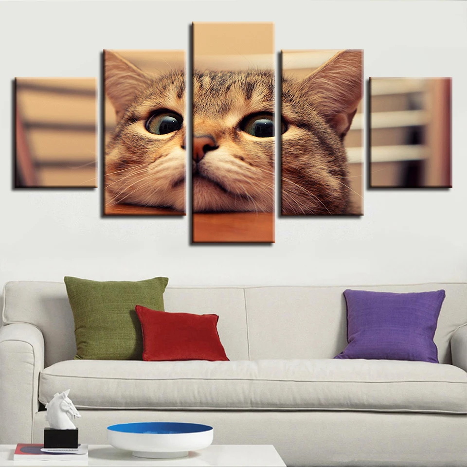 

Framework Artwork HD Printed Decoration Living Room 5 Pieces Animal Lovely Cats Painting Wall Art Modular Canvas Pictures Poster
