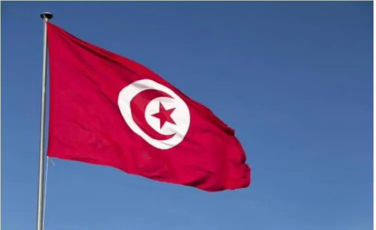 Бесплатная доставка xvggdg Tunisia флаг Туниса 3ft x 5ft висящий полиэстер Стандартный