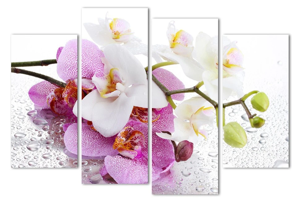 549eb771b9b7e75f33c1ea91-9-original