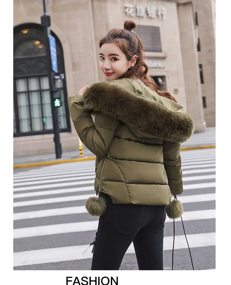 Cotton (25).jpg