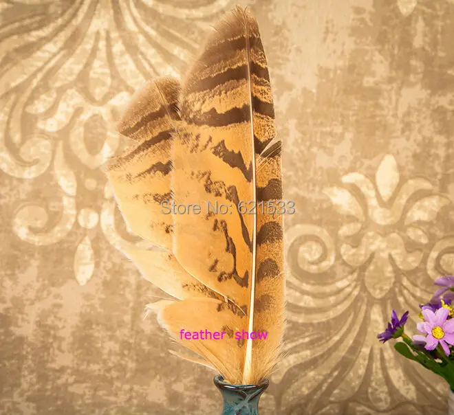 Rarely!30Pcs/LOT!25 35cm long Real Owl Feathers,Owl Quill Feathers,Loose Craft Feathers,Real