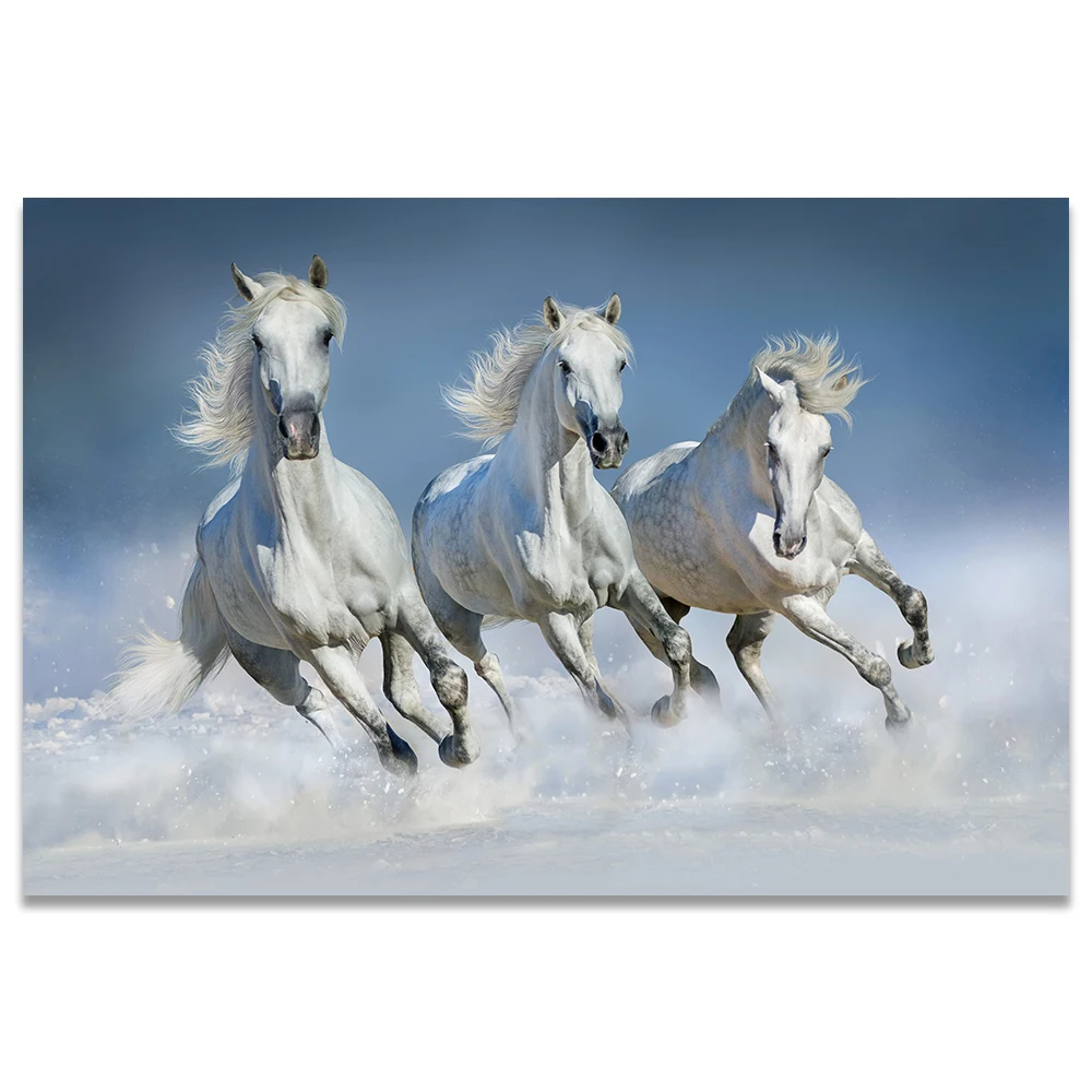Белая лошадь картина снег бег плакат Sunrise Wall Art Холст печать ферма Decoracion настенные