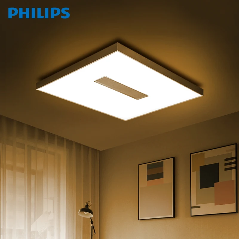 Philips Hue White Ambiance Within Ceiling Light In Led Panel