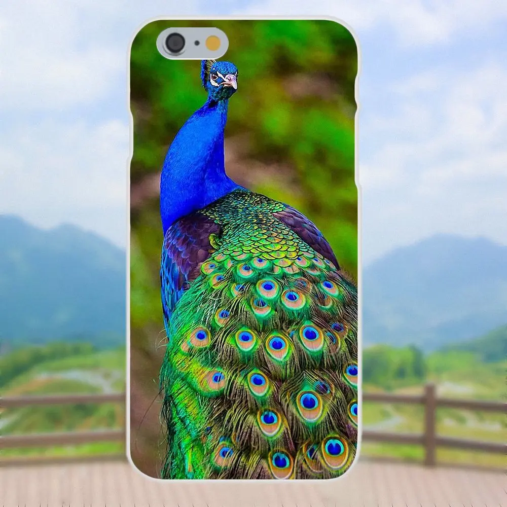 2019 король &quotПавлин&quot потрясающими визуальными для samsung Galaxy Note 5 8 9 S3 S4 S5 S6 S7 S8 S9 S10