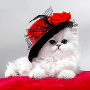 

Cross Stitch Kit DIY Diamond Embroidery White cat Full Square/round Diamond Painting Mosaic Home Decor