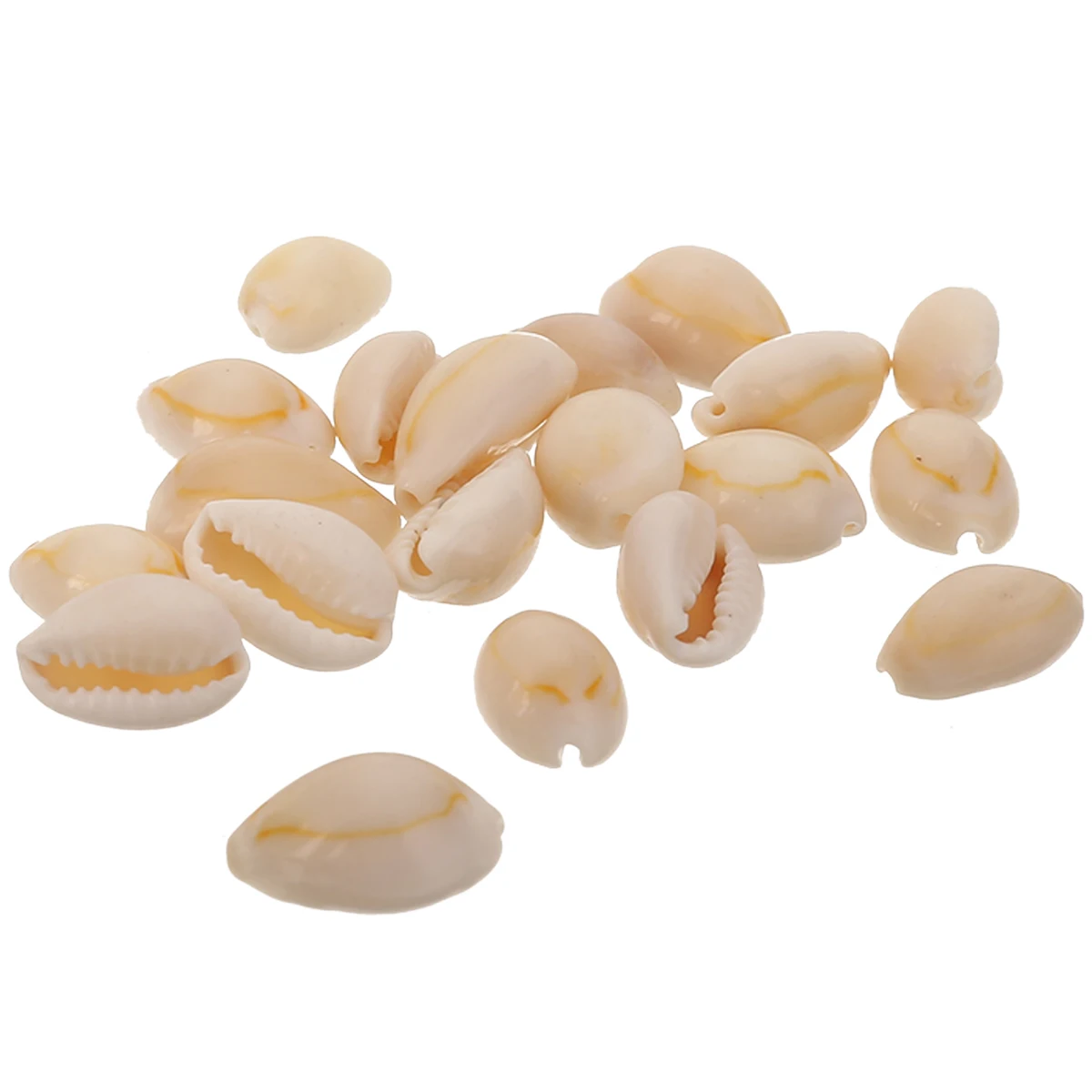 20pcs Natural Beach Sea Shell Craft Conch Shell For Home Decor Ornaments DIY Material Jewelry Pendants Mayitr