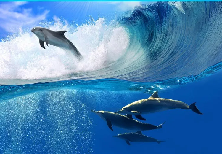 TB2N_GDqpXXXXbSXpXXXXXXXXXX_!!48571306