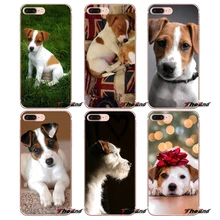 coque samsung s7 edge jack russel