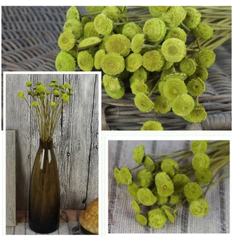 

5 bunch Clasp flower handmade Dried Flower Party wedding decoration home bedroom living room office DIY Decoration flowers