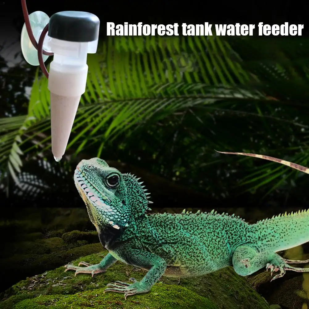 Chameleon Water Drinker Rainforest Cylinder Reptile Humidifier Flower Automatic Watering