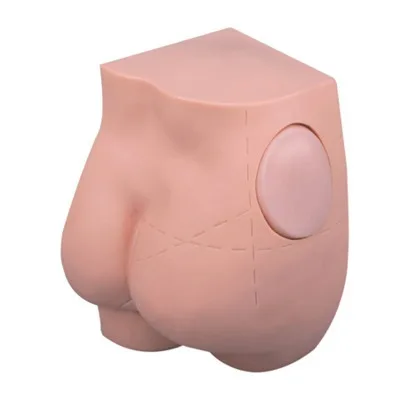 Accessories practice model buttock training apparatus injection model teaching training specific model Accessories practice model buttock training apparatus injection model teaching training specific model