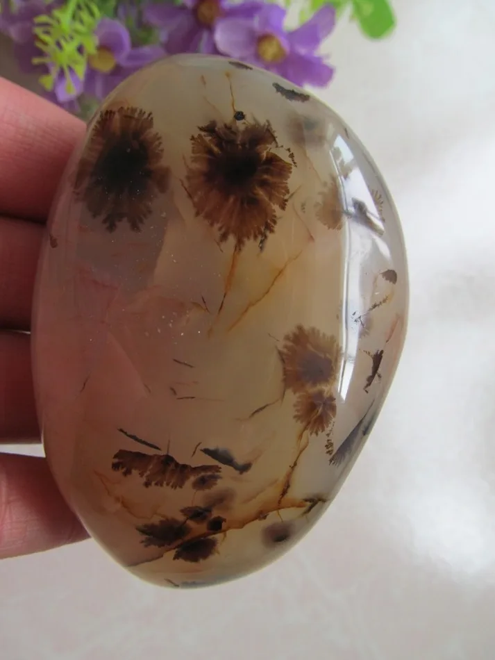 

natural stone agate chalcedony agate natural patterns of marine aquatic plants 300g