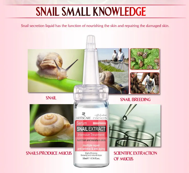 snail_07