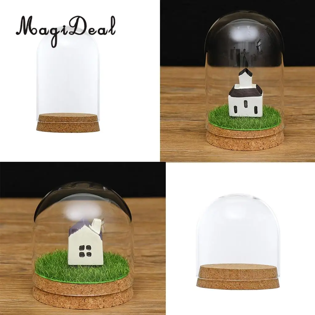 2pcs Clear Glass Display Dome Cover Cloche Bell Jar Succulent Terrariums with Wood Cork for Office Table Decor DIY