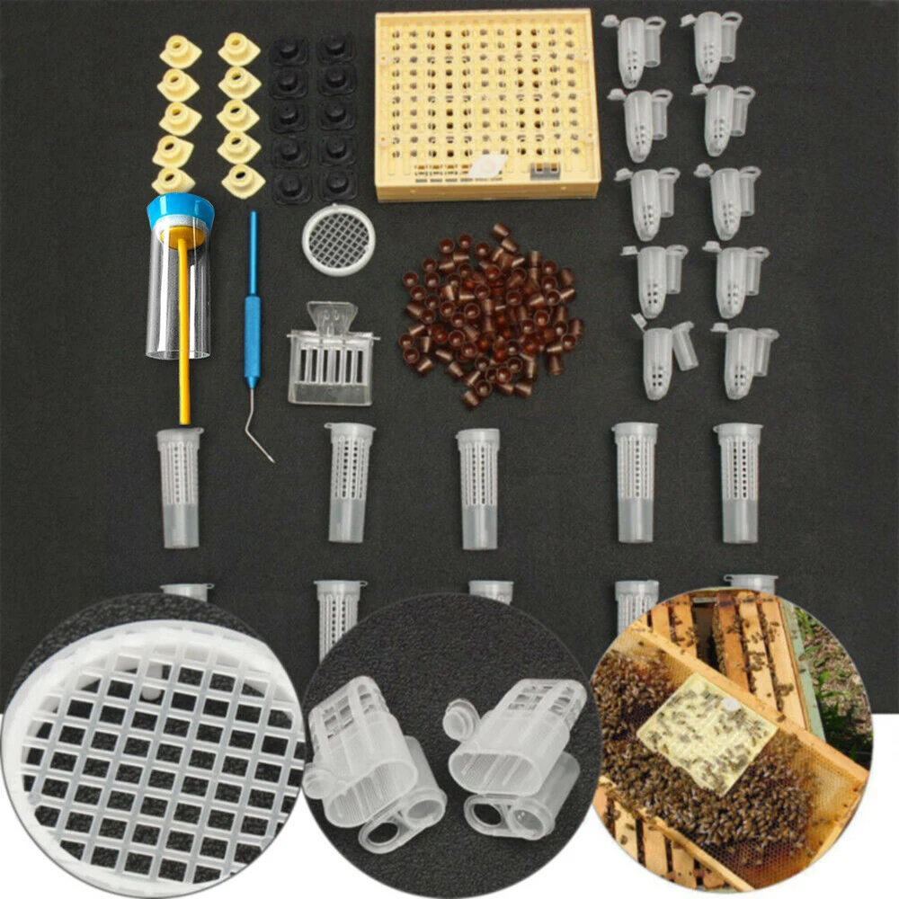 

High Quality Beekeeping Catcher Box Catcher Cage Bee Keeper Tools Queen Rearing System Kit Apiculture Box Equipment Set