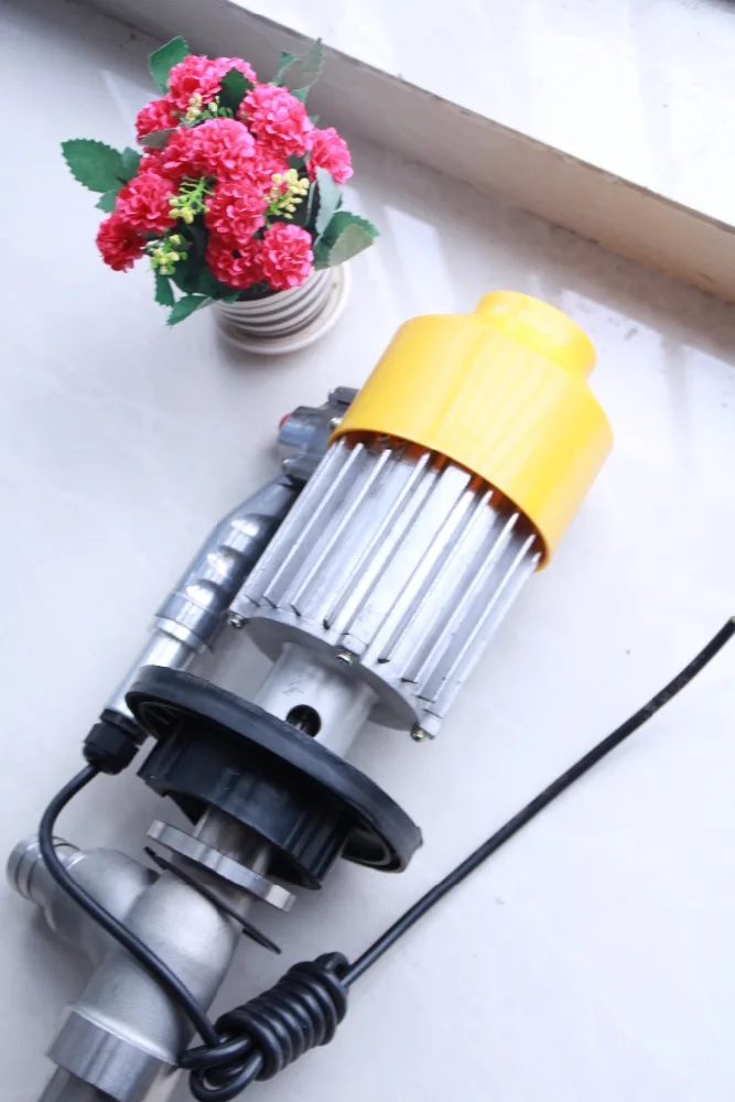 Free shipping fuel transfer pump 200L Rotary Pump oil transfer pump for