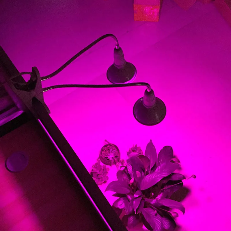 Двойной 200 Led завод растут свет лампы Настольный зажим держатель набор для выращивания цветов, овощей семена для проращивания в помещении
