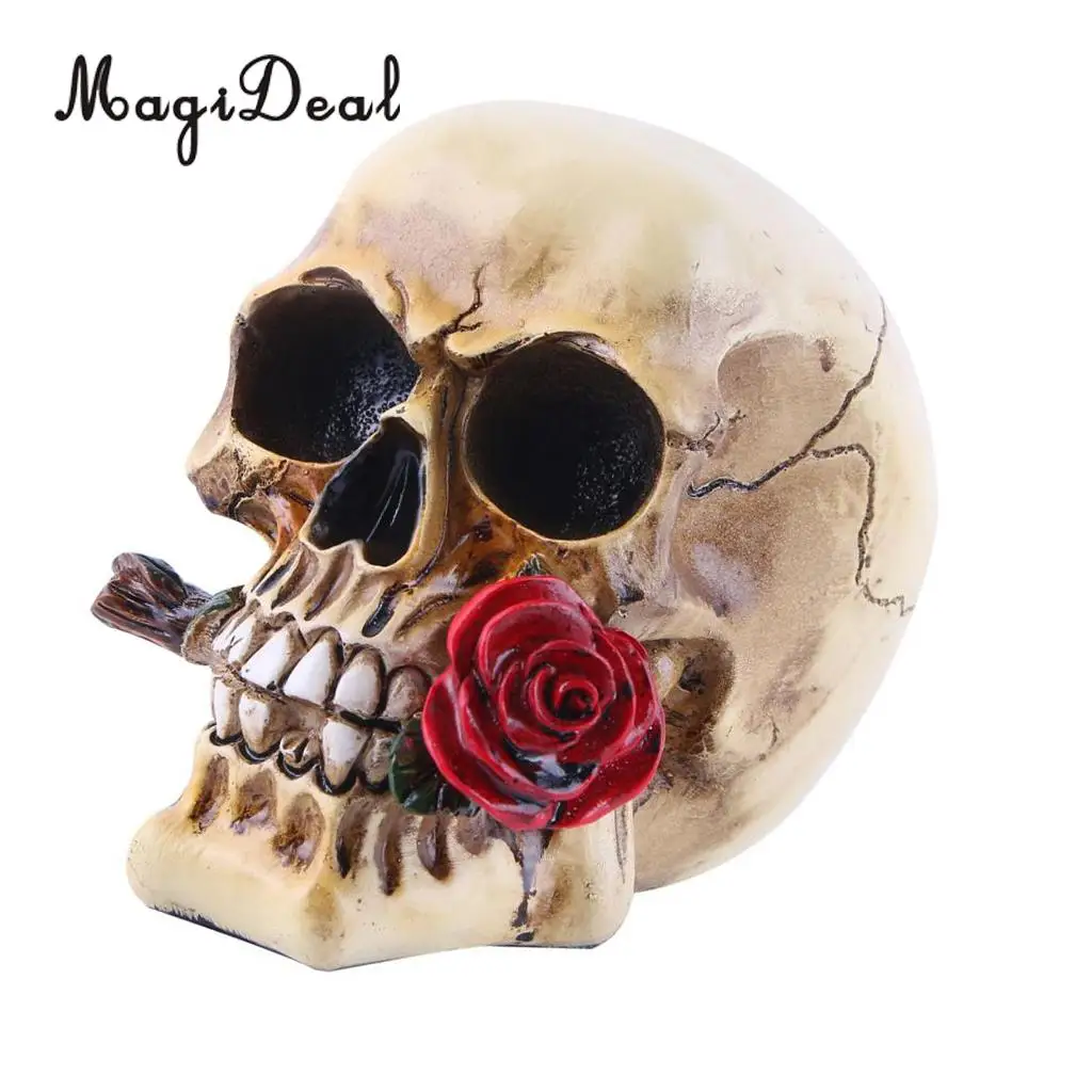 Collectable Resin Human Skull Skeleton Head for Desktop Shelf Display Decoration, 10 Styles