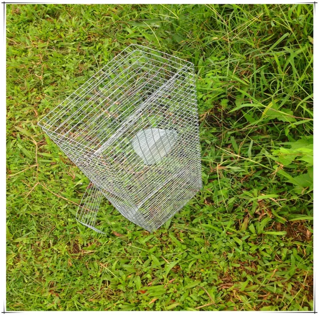 High Quality Best sell rattlesnake trap /rattle cage with low price
