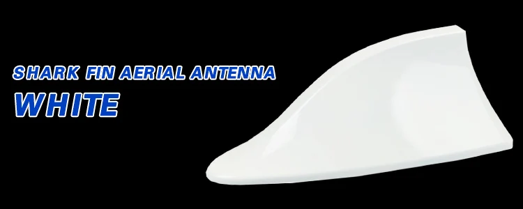 UAM0010064_des1