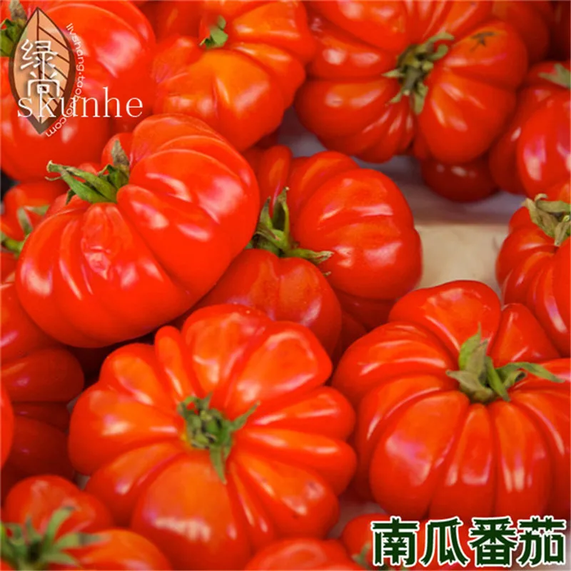 Fresh red tomato bonsai Wang 200 Pcs healthy vegetable bonsais Fresh red tomato bonsai Wang 200 Pcs healthy vegetable bonsais