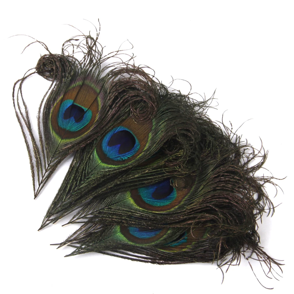 10x Curly  Large Eye Feather 10-12cm For Decor Millinery Fly Fishing