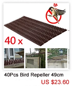 40