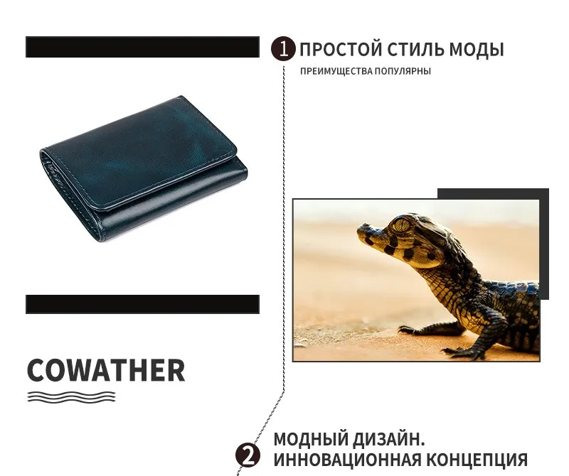 2017.12_10