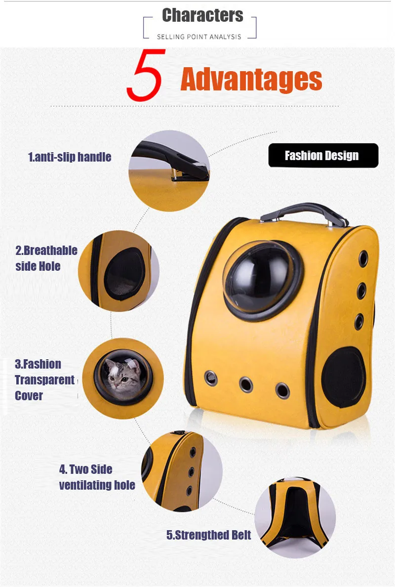 TB2SDdGtVXXXXcFXXXXXXXXXXXX_!!435165544