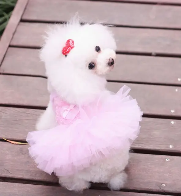 New 2015 Summer style teacup puppy clothes dog clothes for small dogs