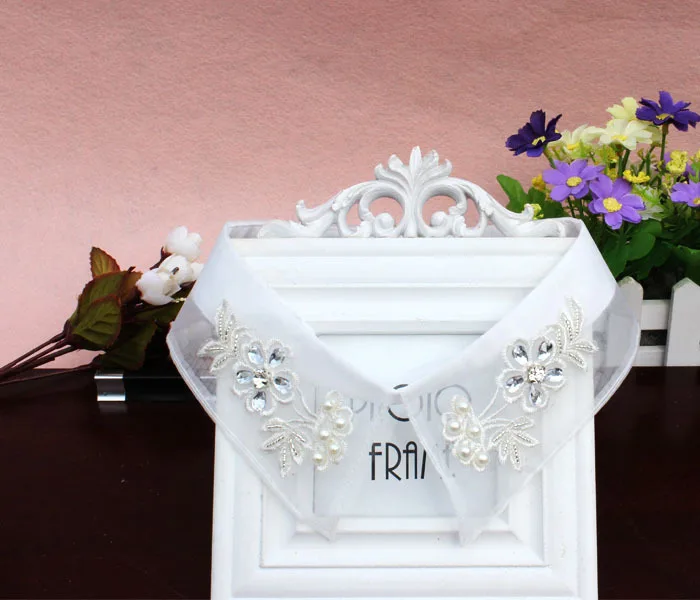 

Punk measle shirt necklace collar False glassfemale supplies wholesale pearl lace embroidery flowers bust shirt collar