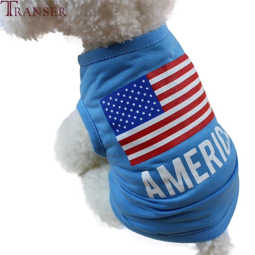 blue dog teddy