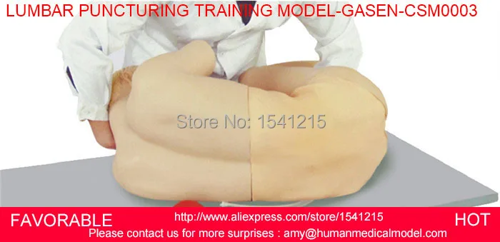 

NURSING TRAINING MANIKIN MEDICAL SIMULATION MODELS MEDICAL TRAINING MANIKINS LUMBAR PUNCTURING TRAINING MODEL-GASEN-CSM0003