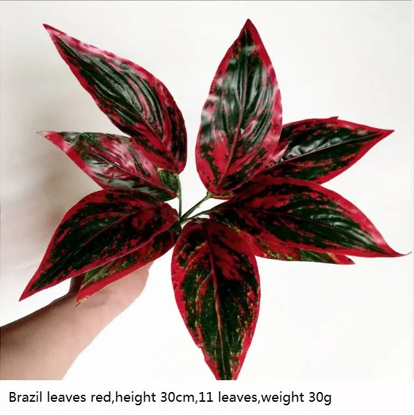 Brazil leaves red