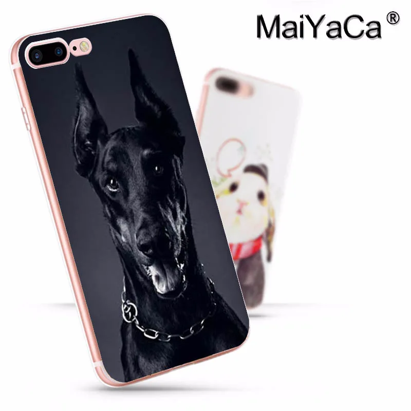 Чехол для телефона MaiYaCa animal Doberman Pinscher Dog Для iphone SE 2020 11 pro 8 7 66S Plus X 10 5S 5C XS XR MAX|for