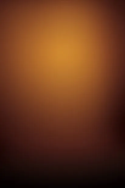 8x12ft dark orange chocolate
