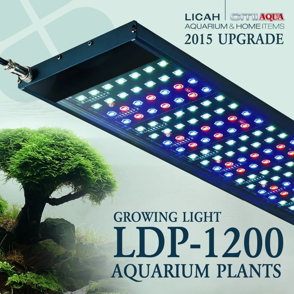 bayram kale cinnet welche led aquarium beleuchtung amazon alt alçakgönüllülük Mü