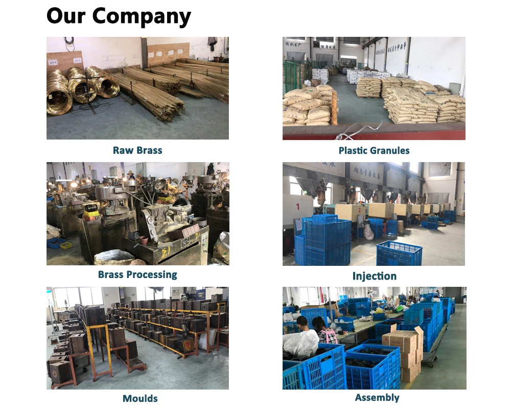 Our company