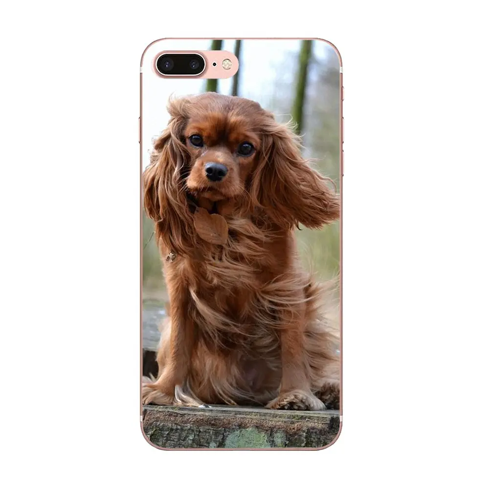 Щенки Bixedx Cavalier King Charles Spaniel для Huawei G7 Y6 II Y7 Xiaomi Redmi Note 2 3 5 Mi 4 4C 4I 5S 5X 6X