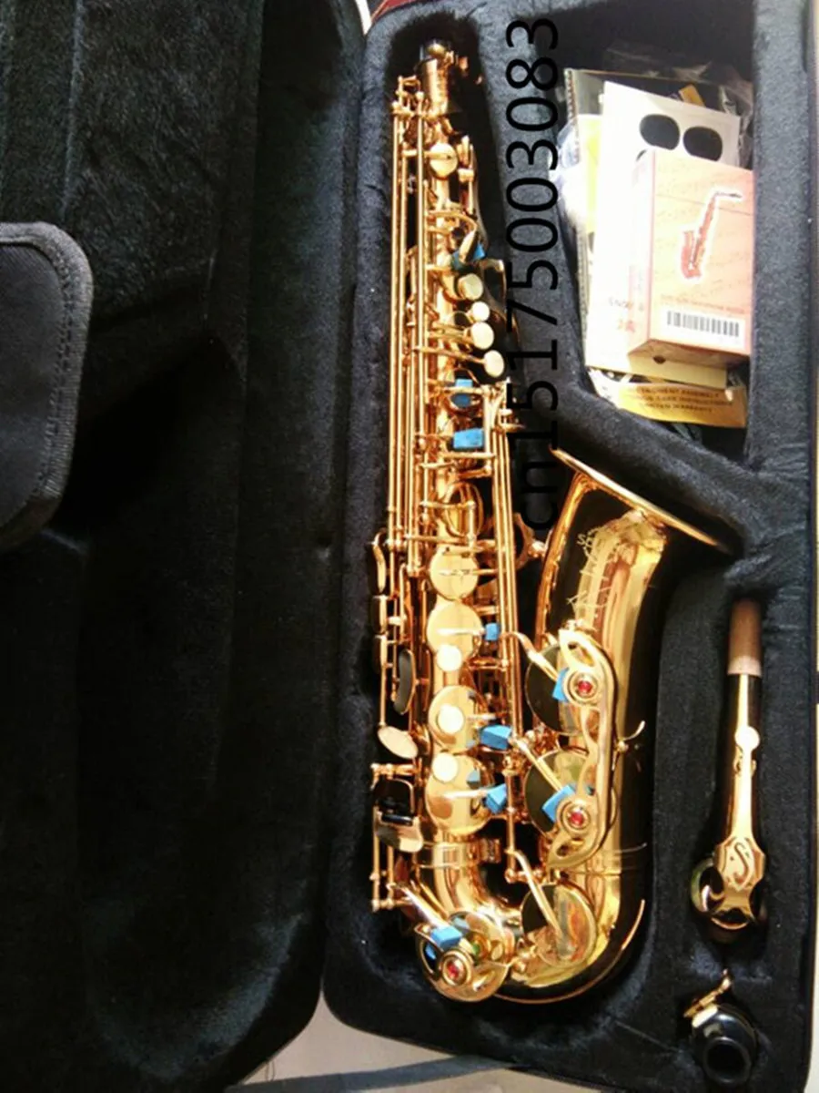 custom Brand Alto saxophone Wholesale prices Electrophoresis Gold R54