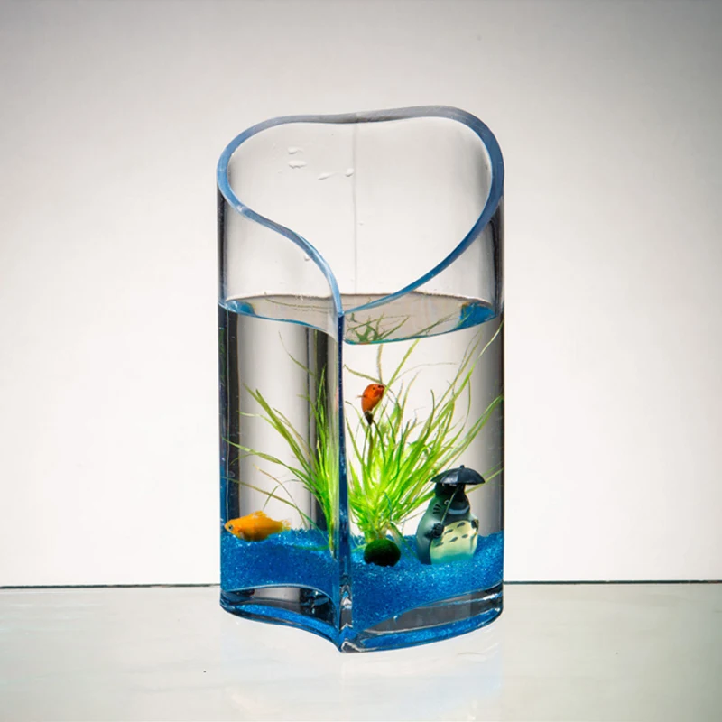 Vase en verre créatif moderne aquarium en forme de coeur hydroponique