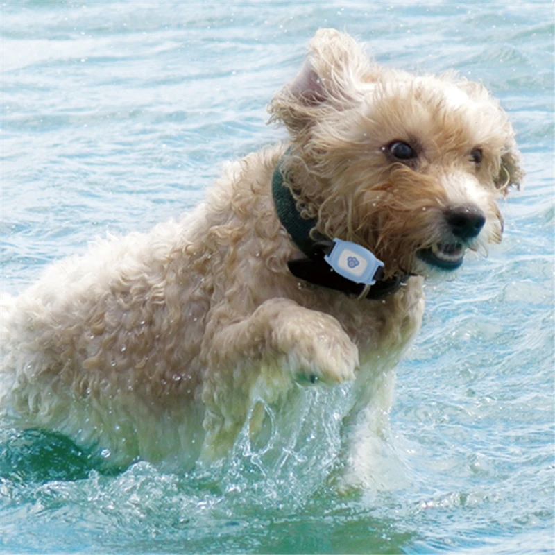 Dog GPS Tracker waterproof Mini Pet Tracking Device GPS dogs Locator