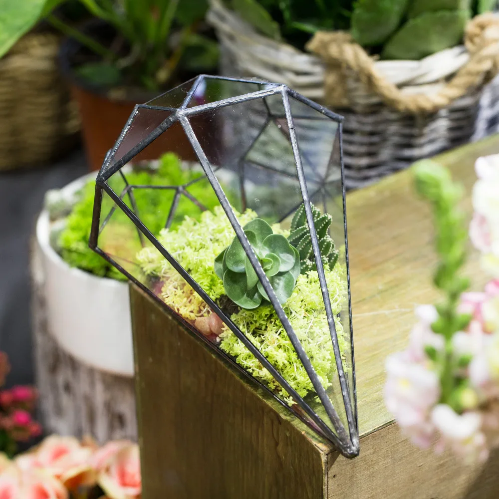 20151226006 (7)