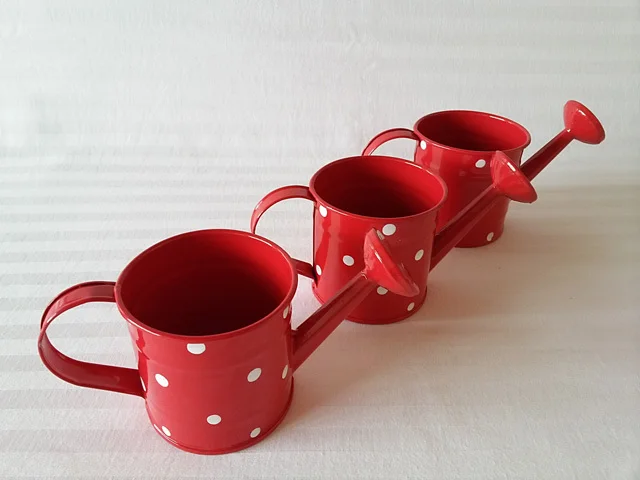 Mutil color Mini Small smart Decorative watering cans ... Mutil color Mini Small smart Decorative watering cans